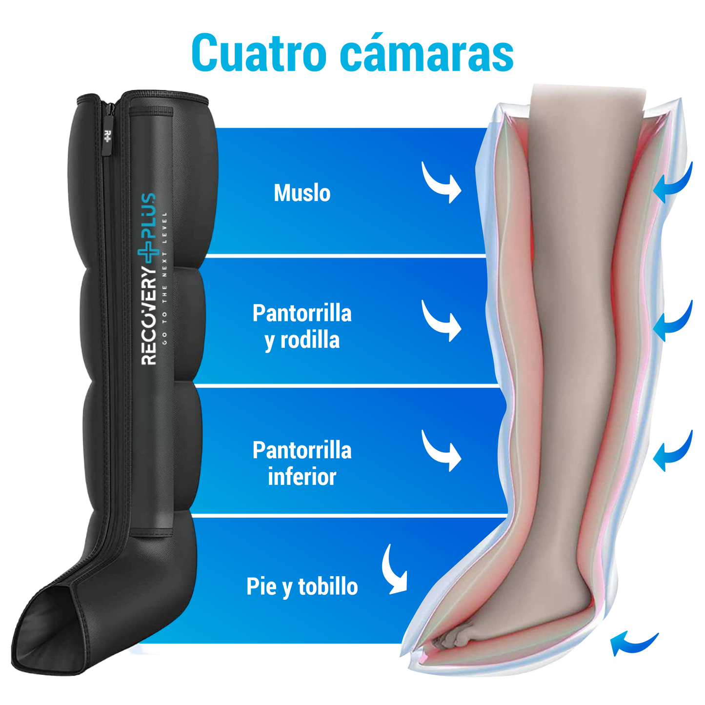 PACK RECOVERY PLUS RP 4.0 ONE SIZE